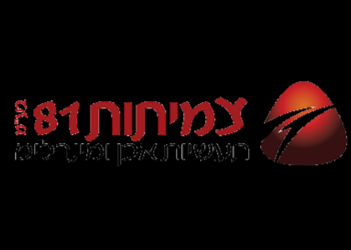 צמיתות 81 תעשיות אבן ומינרלים